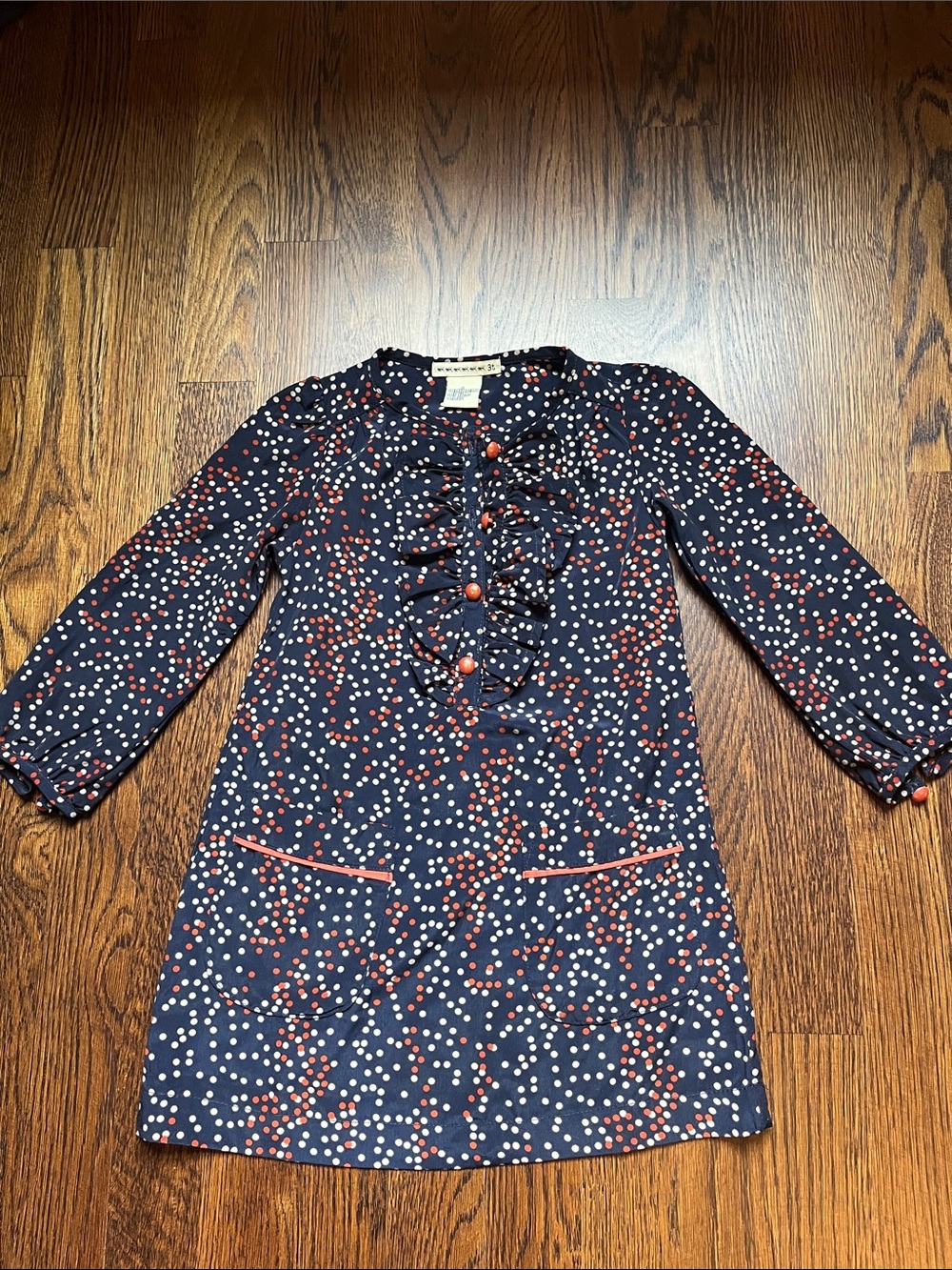 Anthem of the Ants girls dress